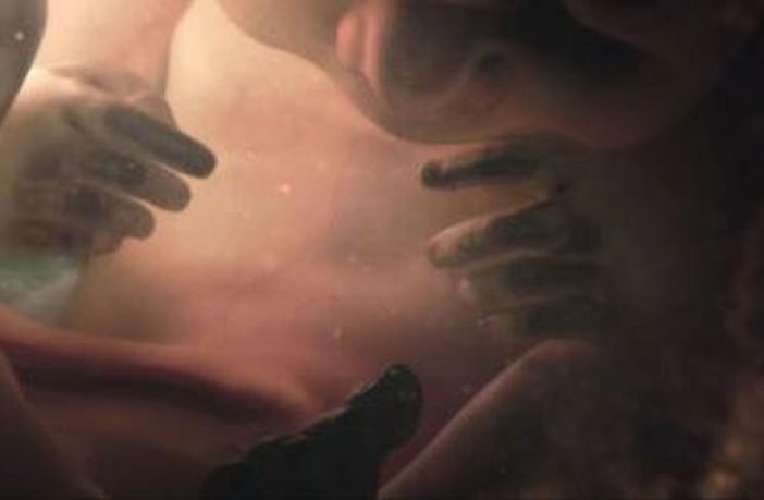 CGI image of baby in a womb. Image credit: BDH for The BBC