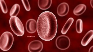 Blood cells and dementia