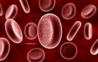 Blood cells and dementia