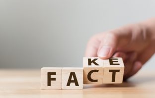 Wooden blocks with 'FACT' and 'FAKE' in black paint