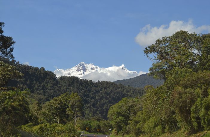 Antisana volcano above cloud forest