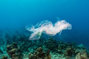 Plastic bag floating along coral reef