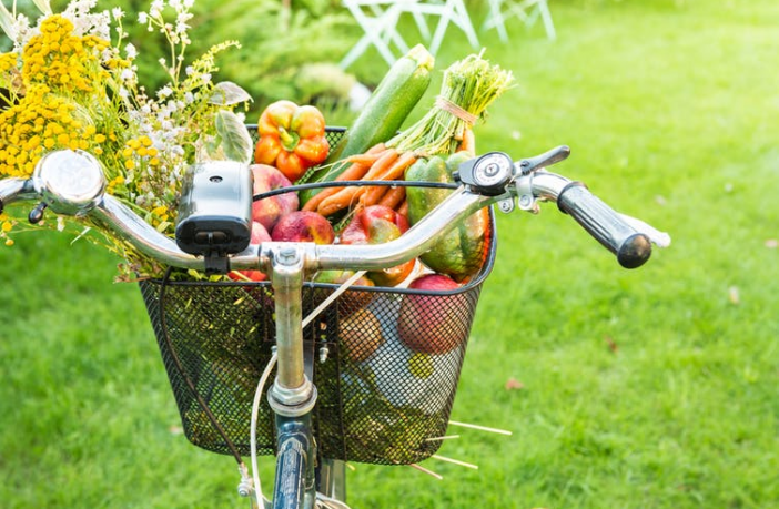 Bicycle basket filled with colourful fruit and veg- Pinkyone via Shutterstock