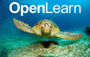 Image of turtle swimming in the ocean with OpenLearn banner