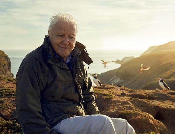 Explore the natural beauty of Britain and Ireland in new BBC / OU programme, Wild Isles
